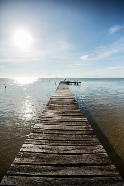 Costa De Cocos Ξενοδοχείο Xcalak Εξωτερικό φωτογραφία