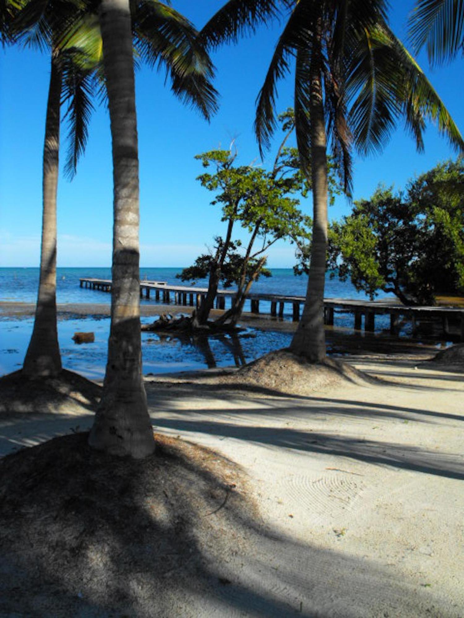 Costa De Cocos Ξενοδοχείο Xcalak Εξωτερικό φωτογραφία